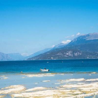 竞彩篮球app下载