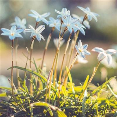 manbet手机版官网