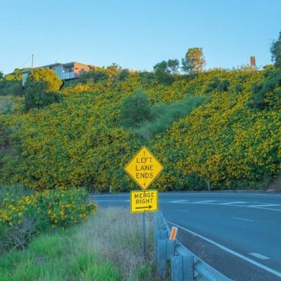 极速赛车信誉老平台