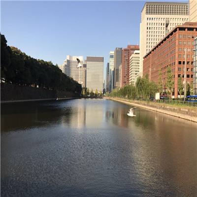 万博·体育下载手机版