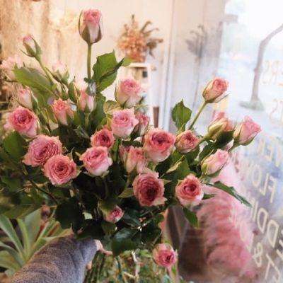 星空体育官方网站手机app下载截图