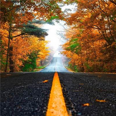 江南全站登录下载手机版