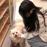 能下单的足彩app